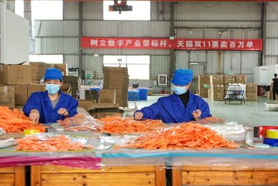 全國2000個產業帶備戰忙 天貓雙11帶給中小企業生意與信心